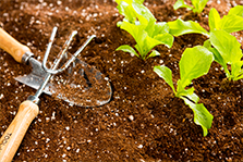 구매사업의 여건